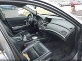 HONDA ACCORD 2.4 EX-L 1HGCP268X8A151632 photo