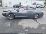 HONDA ACCORD LX 1HGCR2F3XDA070431 снимка