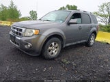 FORD ESCAPE LIMITED 1FMCU9EGXAKD36364 снимка