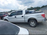 Ford F-150 Fx4/Harley-Davidson/King Ranch/Lariat/Platinum/Xl/Xlt 1FTFW1EV7AFD19333 снимка