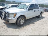 Ford F-150 Fx4/Harley-Davidson/King Ranch/Lariat/Platinum/Xl/Xlt 1FTFW1EV7AFD19333 fotografie