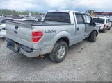 Ford F-150 Fx4/Harley-Davidson/King Ranch/Lariat/Platinum/Xl/Xlt 1FTFW1EV7AFD19333 fotografie