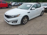 KIA OPTIMA LX KNAGM4A78F5653027 fotografie