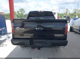 FORD F-150 FX4/HARLEY-DAVIDSON/KING RANCH/LARIAT/PLATINUM/XL/XLT 1FTFW1EV6AFC95459 photo
