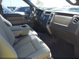 FORD F-150 STX/XL/XLT 1FTRX12899KB83377 fotografie