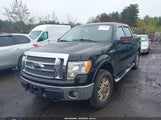 FORD F-150 FX4/HARLEY-DAVIDSON/KING RANCH/LARIAT/PLATINUM/XL/XLT 1FTFW1EV7AFC80517 fotografie
