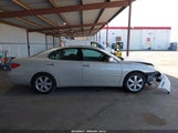 LEXUS ES 330 JTHBA30G755068969 снимка