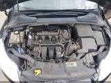 FORD FOCUS SE 1FADP3F25DL314387 снимка