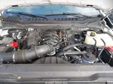FORD F-550 CHASSIS XL 1FDUF5GN8REE22091 fotografie