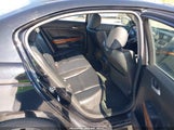 HONDA ACCORD 2.4 EX-L 1HGCP2F83BA014846 снимка
