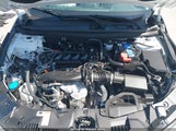 HONDA ACCORD EX 1HGCY1F34RA085253 photo