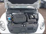 VOLKSWAGEN BEETLE 2.0T FINAL EDITION SE/2.0T FINAL EDITION SEL/2.0T S/2.0T SE 3VW5DAAT8KM501241 photo