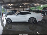 Ford Mustang Gt 1FA6P8CF7J5101924 снимка