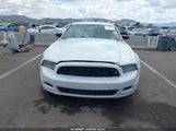 FORD MUSTANG V6 1ZVBP8AM0E5311603 снимка