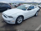 FORD MUSTANG V6 1ZVBP8AM0E5311603 снимка