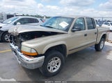 DODGE DAKOTA SLT 1D7HG48N53S134071 снимка