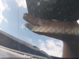 HONDA PILOT AWD EX 5FNYF6H3XLB019034 снимка