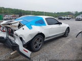 FORD MUSTANG V6/V6 PREMIUM 1ZVBP8AN6A5106614 photo