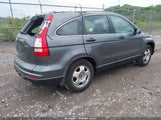 HONDA CR-V LX 5J6RE4H34BL116974 photo