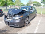 Acura Tl 3.7 19UUA9F25EA000395 снимка