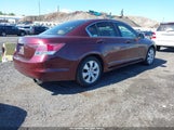 HONDA ACCORD 2.4 LX JHMCP26348C028799 снимка