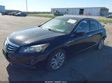 HONDA ACCORD 3.5 EX-L 1HGCP3F82BA002421 photo