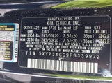 KIA TELLURIDE EX 5XYP34GC9PG339972 снимка