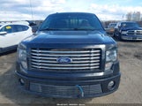 FORD F-150 FX4/HARLEY-DAVIDSON/KING RANCH/LARIAT/PLATINUM/XL/XLT 1FTFW1EV3AFA48061 снимка