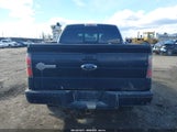 FORD F-150 FX4/HARLEY-DAVIDSON/KING RANCH/LARIAT/PLATINUM/XL/XLT 1FTFW1EV3AFA48061 photo