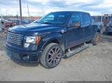 FORD F-150 FX4/HARLEY-DAVIDSON/KING RANCH/LARIAT/PLATINUM/XL/XLT 1FTFW1EV3AFA48061 photo
