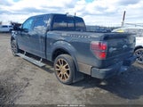 FORD F-150 FX4/HARLEY-DAVIDSON/KING RANCH/LARIAT/PLATINUM/XL/XLT 1FTFW1EV3AFA48061 photo
