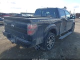 FORD F-150 FX4/HARLEY-DAVIDSON/KING RANCH/LARIAT/PLATINUM/XL/XLT 1FTFW1EV3AFA48061 photo