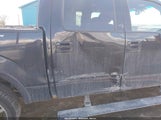 FORD F-150 FX4/HARLEY-DAVIDSON/KING RANCH/LARIAT/PLATINUM/XL/XLT 1FTFW1EV3AFA48061 photo