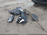 HONDA CIVIC EX 2HGFC3B38LH352531 снимка