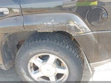 CHEVROLET TRAILBLAZER LT 1GNDT13S922128652 снимка