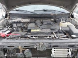 FORD F-150 FX4/HARLEY-DAVIDSON/KING RANCH/LARIAT/PLATINUM/XL/XLT 1FTFW1EV0AFA50589 photo