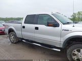 FORD F-150 FX4/HARLEY-DAVIDSON/KING RANCH/LARIAT/PLATINUM/XL/XLT 1FTFW1EV0AFA50589 снимка