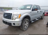 FORD F-150 FX4/HARLEY-DAVIDSON/KING RANCH/LARIAT/PLATINUM/XL/XLT 1FTFW1EV0AFA50589 photo
