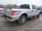 FORD F-150 FX4/HARLEY-DAVIDSON/KING RANCH/LARIAT/PLATINUM/XL/XLT 1FTFW1EV0AFA50589 photo