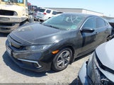 HONDA CIVIC LX 2HGFC2F66LH584902 снимка