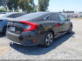 HONDA CIVIC LX 2HGFC2F66LH584902 снимка