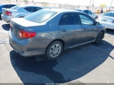 TOYOTA COROLLA S 1NXBU40E09Z097542 снимка