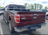 FORD F-150 FX4/LARIAT/XL/XLT 1FTFX1EV6AFB18620 fotografie