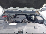 CHEVROLET SILVERADO 1500 WORK TRUCK 1GCNCPEAXDZ264495 fotografie
