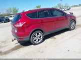 FORD ESCAPE TITANIUM 1FMCU0JX1EUE11061 fotografie