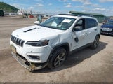 JEEP CHEROKEE LIMITED 4X4 1C4PJMDN9MD126798 fotografie