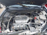 Acura Tl 3.5 19UUA8F29AA002266 снимка