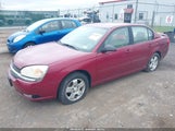 CHEVROLET MALIBU LT 1G1ZU54824F117163 снимка