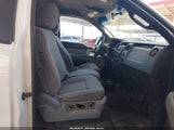 FORD F-150 XL 1FTNF1CF0BKD12630 снимка