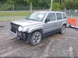 JEEP PATRIOT SPORT 1C4NJRBBXED784029 photo
